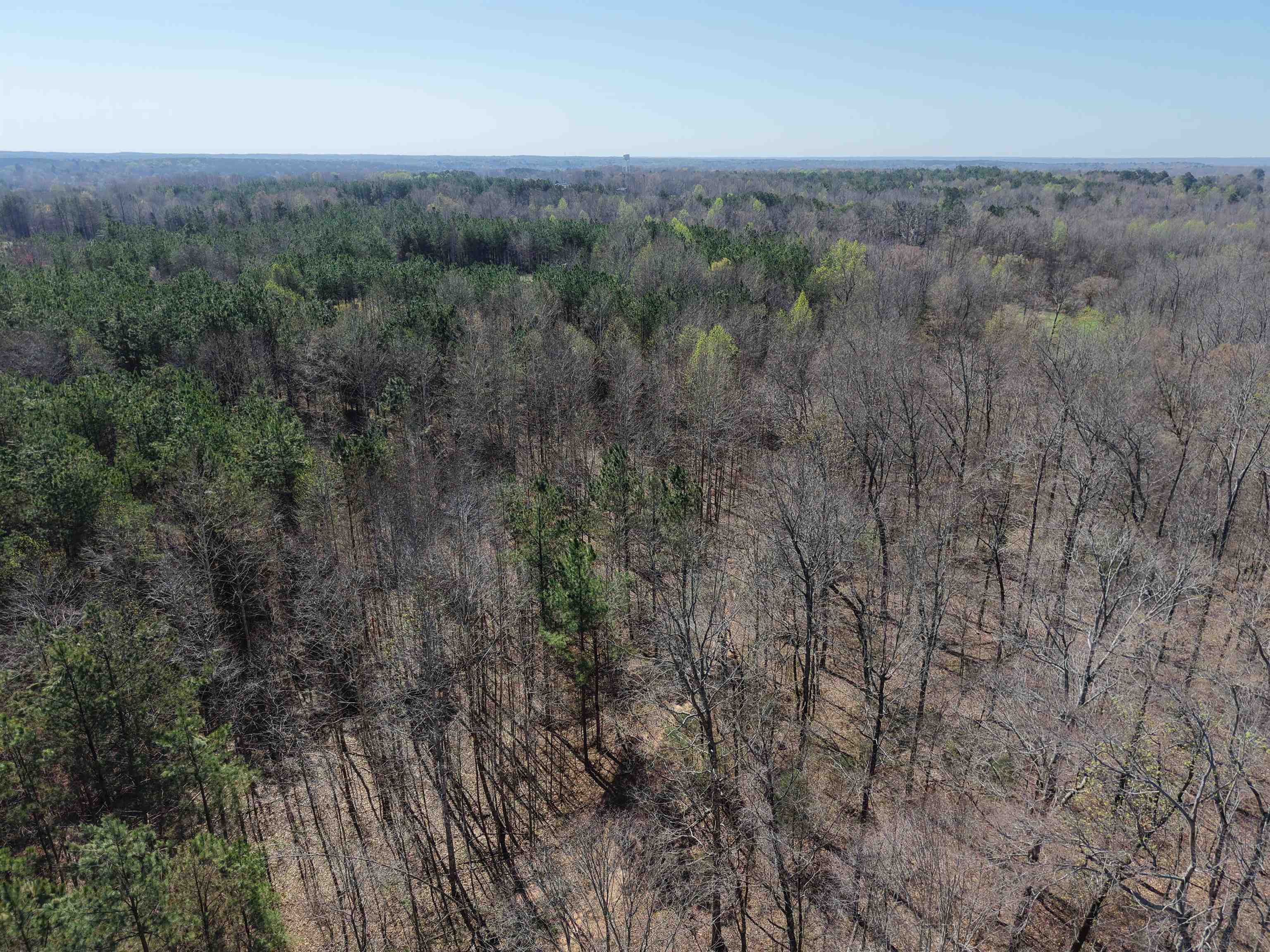 0 100th Highway Toone, TN 38381 - Photo 4 of 19 an aerial view of forest