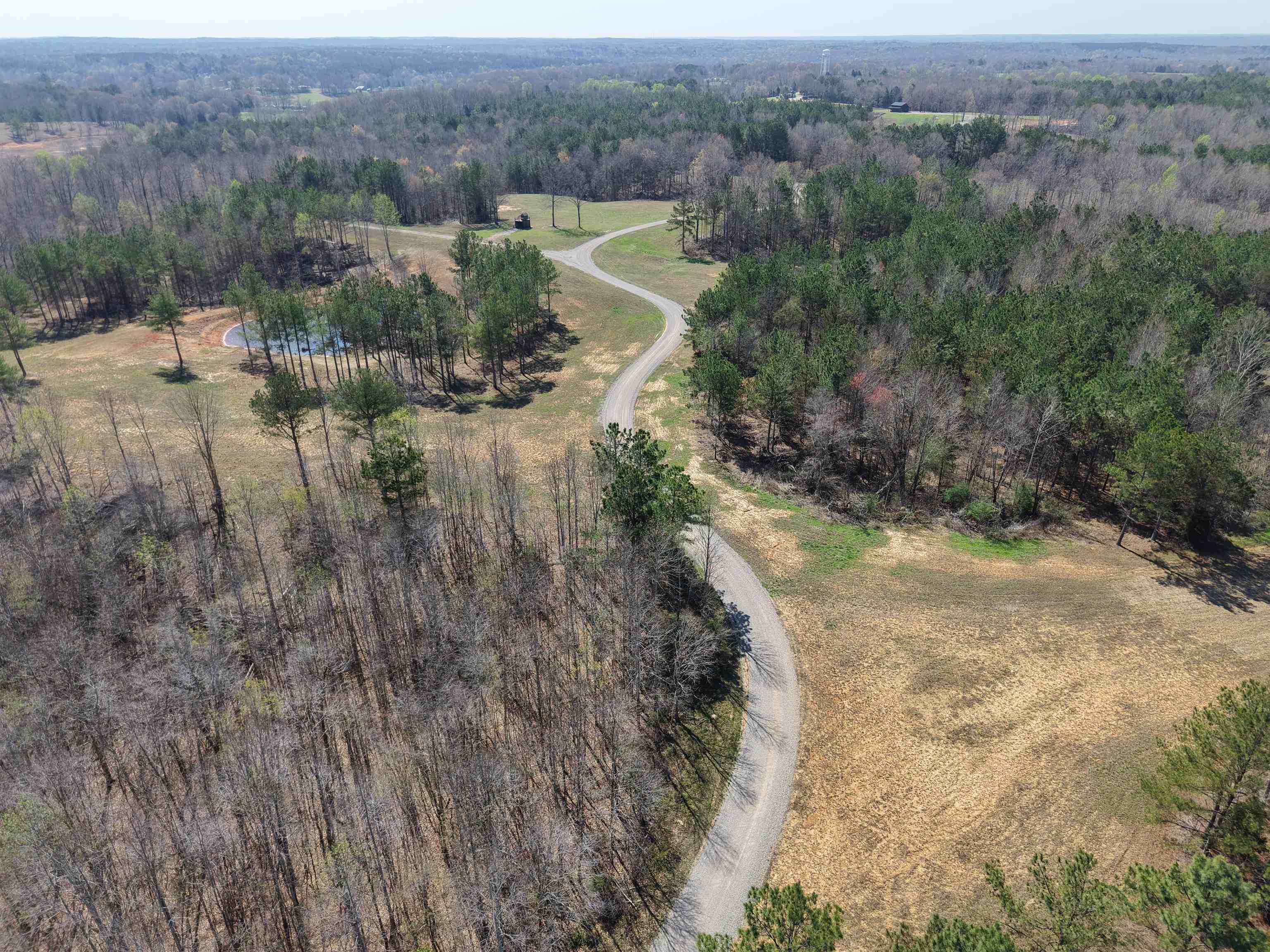 0 100th Highway Toone, TN 38381 - Photo 6 of 19 a view of a forest with beach and outdoor space