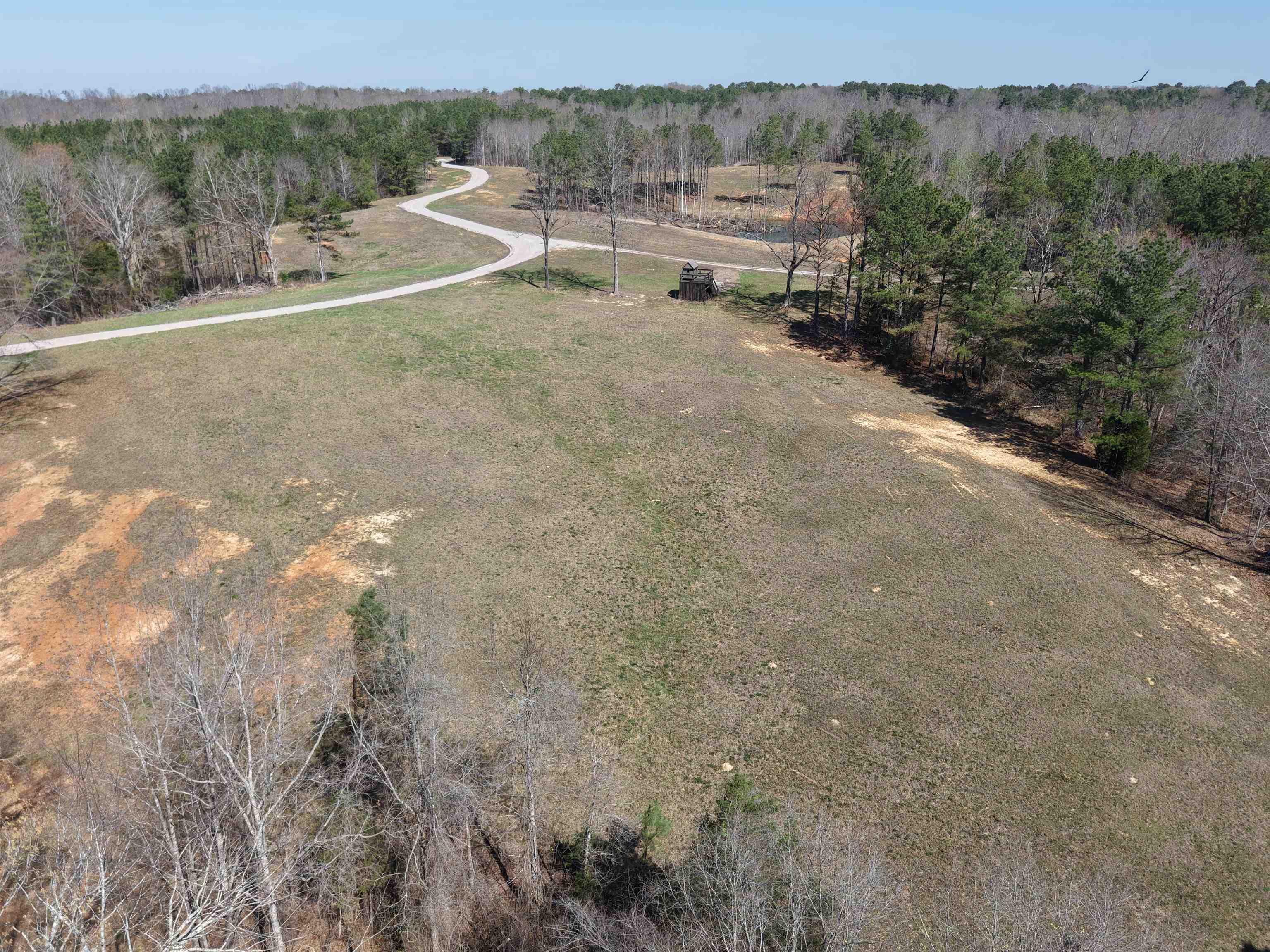 0 100th Highway Toone, TN 38381 - Photo 9 of 19 a view of a outdoor space