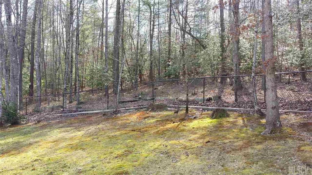 177 Rapids Run Morganton, NC 28655 - Photo 10 of 19 Gallery Image 10