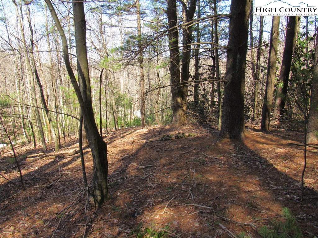 Lot 6 Green Mountain Road Sparta, NC 28675 - Photo 1 of 14 a view of backyard with green space