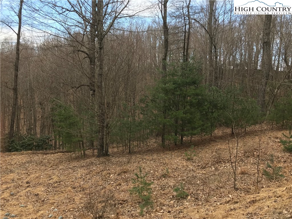 Lot 6 Green Mountain Road Sparta, NC 28675 - Photo 12 of 14 a backyard of a house with lots of green space