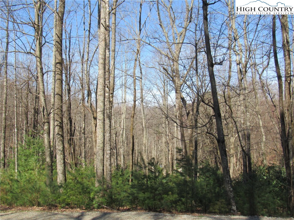 Lot 6 Green Mountain Road Sparta, NC 28675 - Photo 13 of 14 a backyard of a building with trees