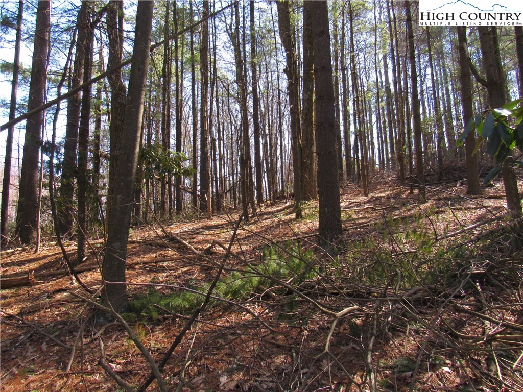 Lot 6 Green Mountain Road Sparta, NC 28675 - Photo 5 of 14 a backyard of a house with lots of green space