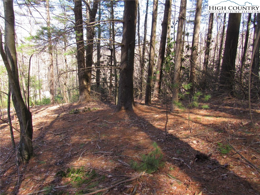 Lot 6 Green Mountain Road Sparta, NC 28675 - Photo 6 of 14 a view of outdoor space with trees