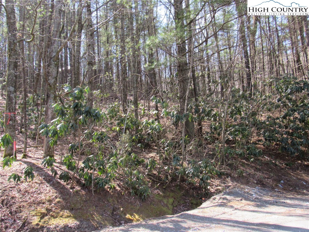 Lot 6 Green Mountain Road Sparta, NC 28675 - Photo 10 of 14 a view of outdoor space and garden