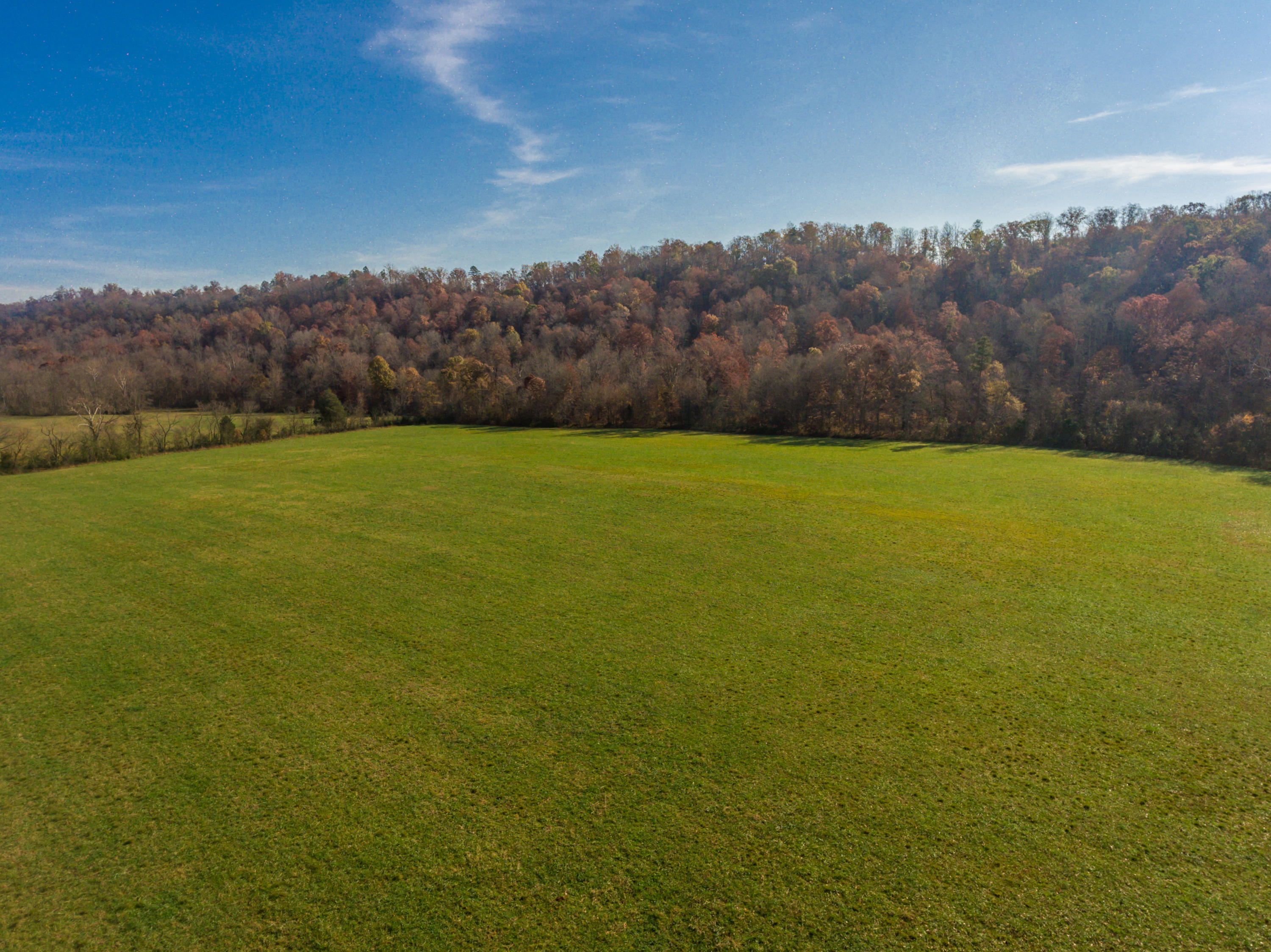437 Paint Rock Valley Road Philadelphia, TN 37846 - Photo 3 of 16 437PaintRockValley-15