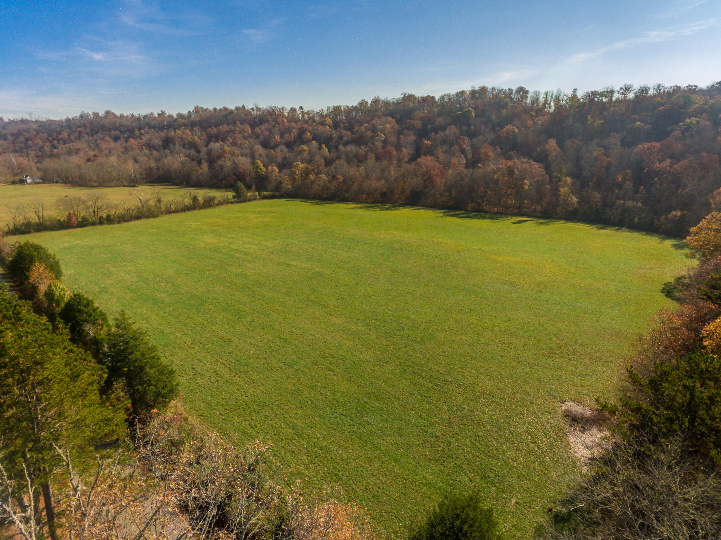 437 Paint Rock Valley Road Philadelphia, TN 37846 - Photo 6 of 16 437PaintRockValley