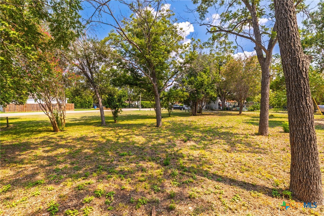 Tbd Bert Street Seguin, TX 78155 - Photo 12 of 19 a view of yard with trees