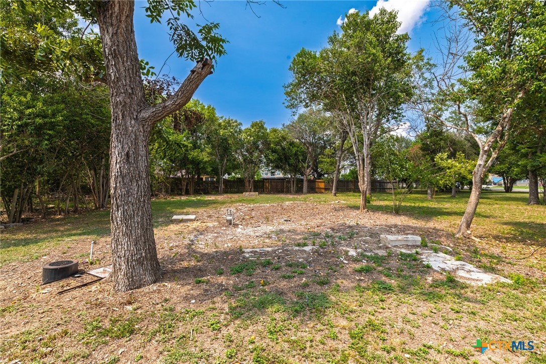 Tbd Bert Street Seguin, TX 78155 - Photo 14 of 19 a backyard of a house with lots of green space