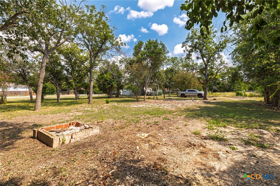 Tbd Bert Street Seguin, TX 78155 - Photo 17 of 19 a view of a park with large trees