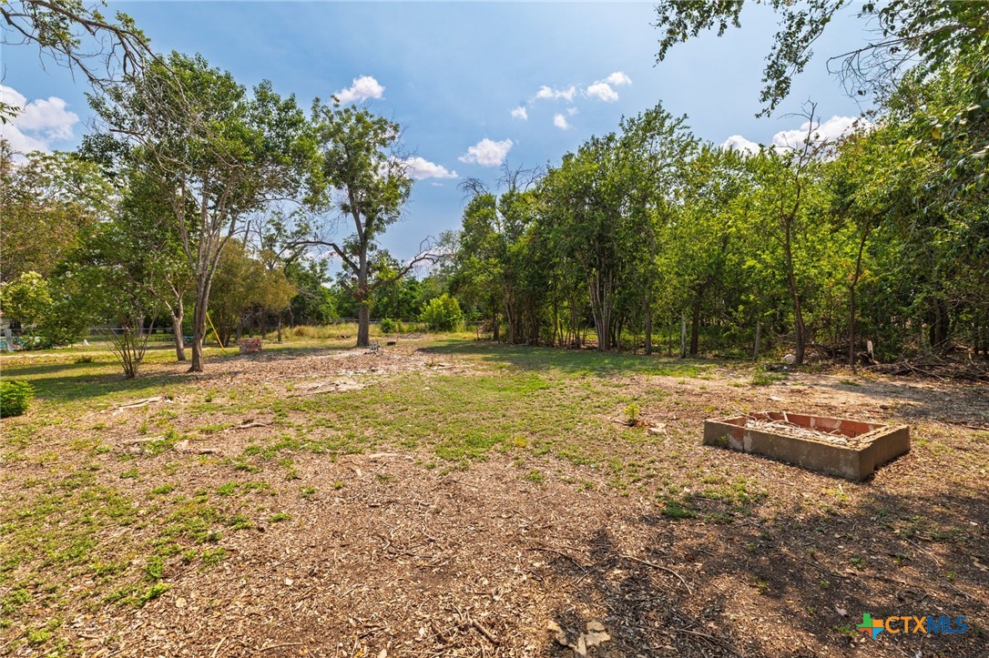 Tbd Bert Street Seguin, TX 78155 - Photo 19 of 19 a view of yard with tree