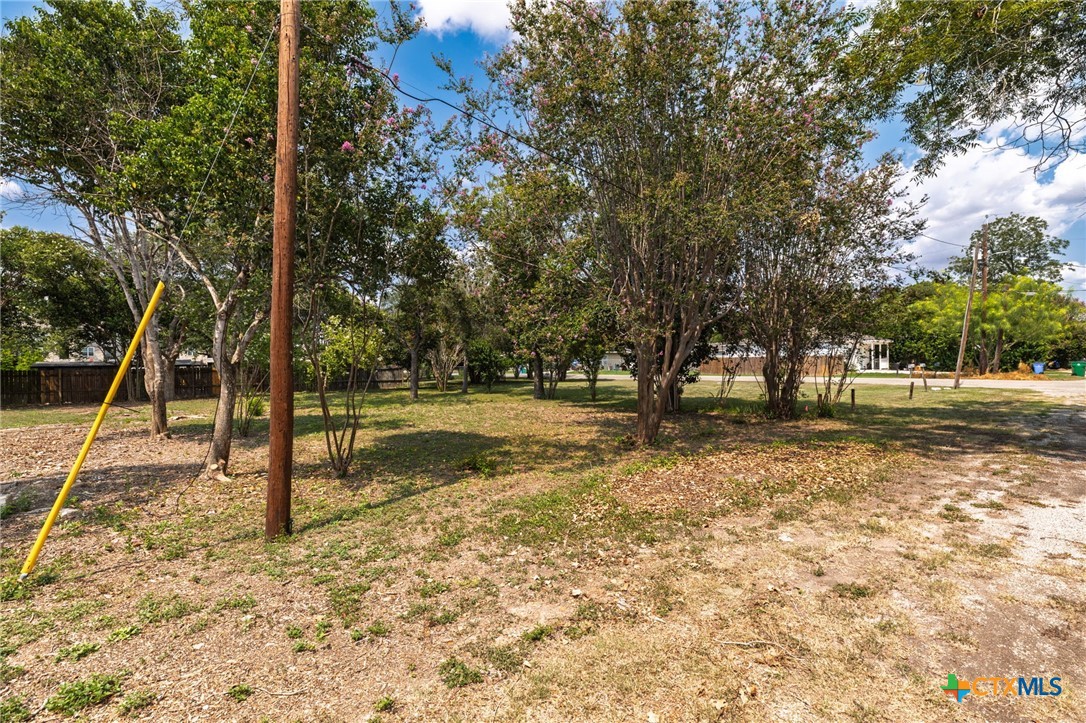 Tbd Bert Street Seguin, TX 78155 - Photo 6 of 19 a view of a tree in a yard
