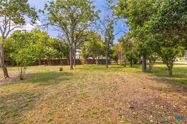 a view of yard with tree