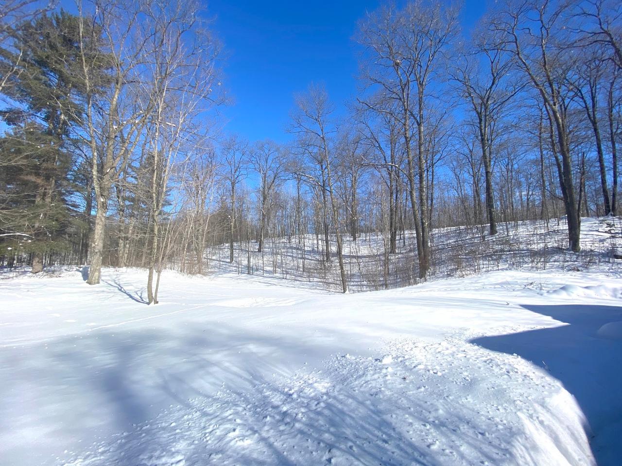 4064 Pine Grove Drive Rhinelander, WI 54501 - Photo 56 of 59 Gallery Image 56