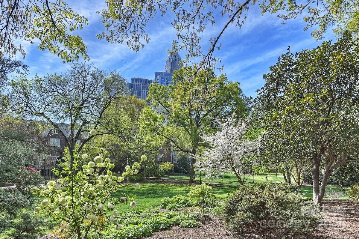 333 West 7th Street Charlotte, NC 28202 - Photo 45 of 46 a view of a garden