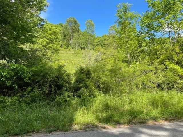 0 Stanford Road Prospect, PA 16052 - Photo 3 of 6