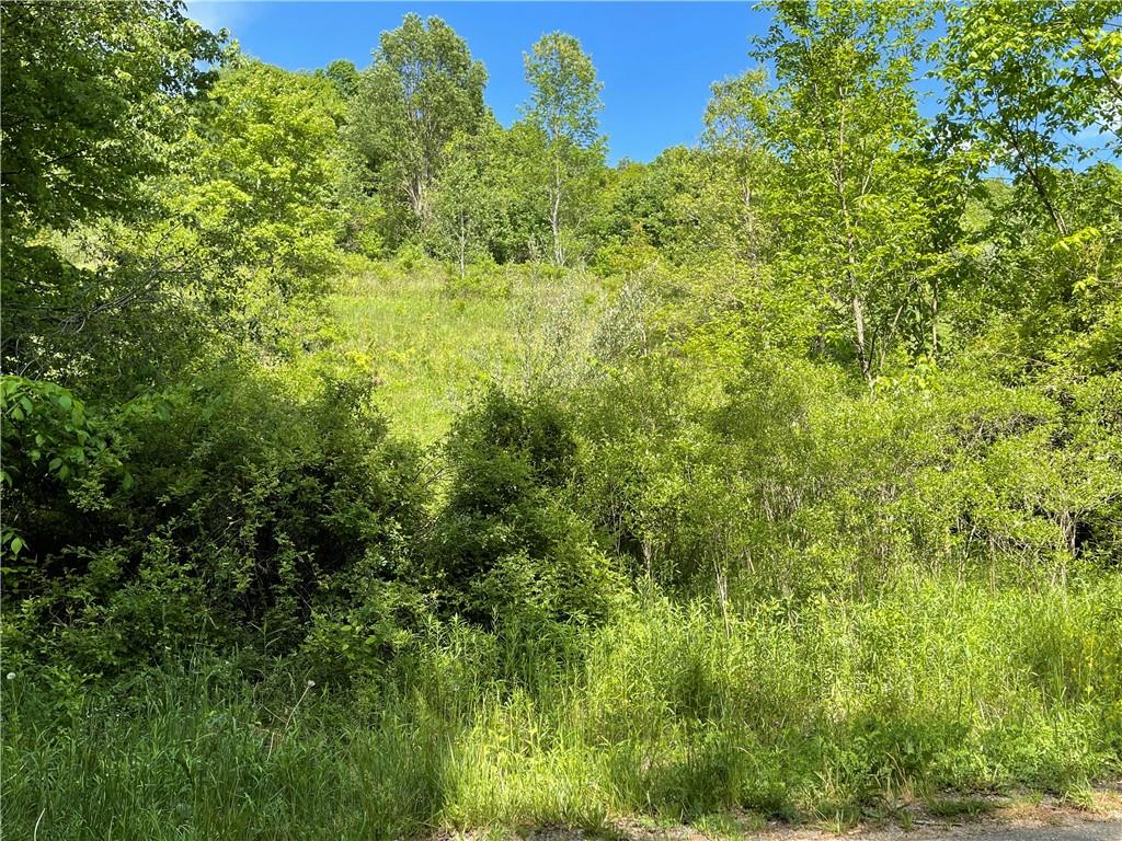 0 Stanford Road Prospect, PA 16052 - Photo 5 of 6