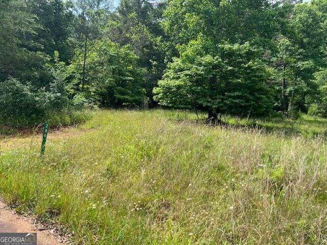 Lot 7-8 & W Ranch Road Blairsville, GA 30512 - Photo 1 of 1 Gallery Image 1