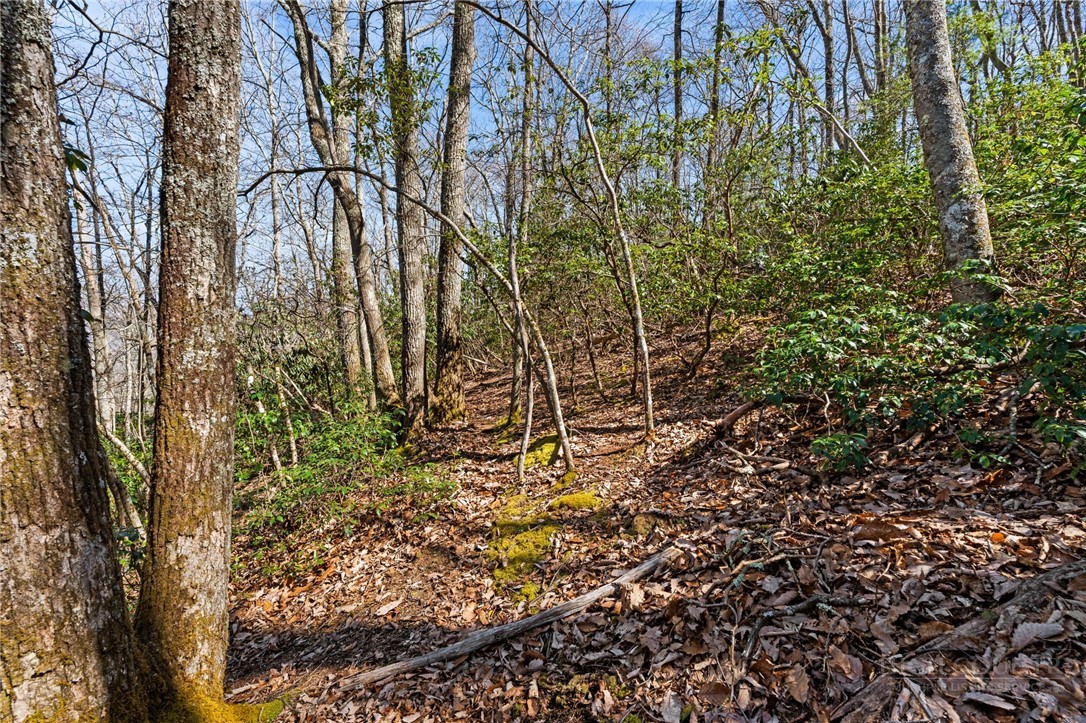 Lot 9 Lot Drive Boone, NC 28607 - Photo 12 of 13 a view of under construction area