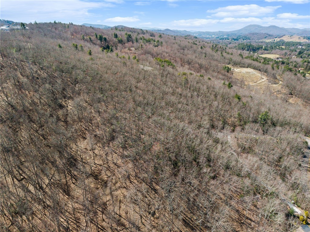 Lot 9 Lot Drive Boone, NC 28607 - Photo 5 of 13 an aerial view of forest