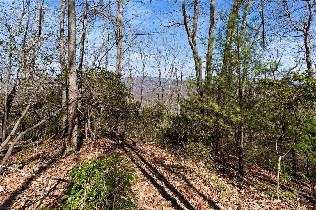 Lot 9 Lot Drive Boone, NC 28607 - Photo 6 of 13 a view of forest