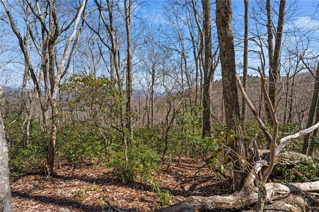 Lot 9 Lot Drive Boone, NC 28607 - Photo 7 of 13 a backyard of a house with lots of green space