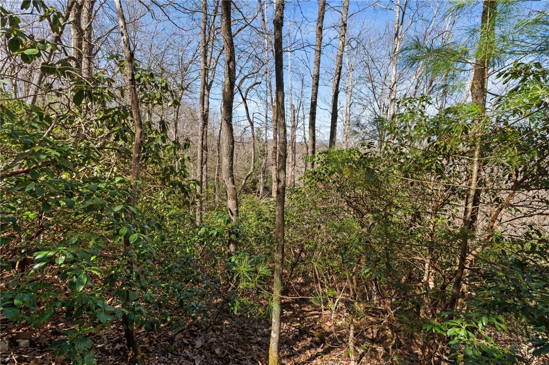 Lot 9 Lot Drive Boone, NC 28607 - Photo 8 of 13 a view of yard