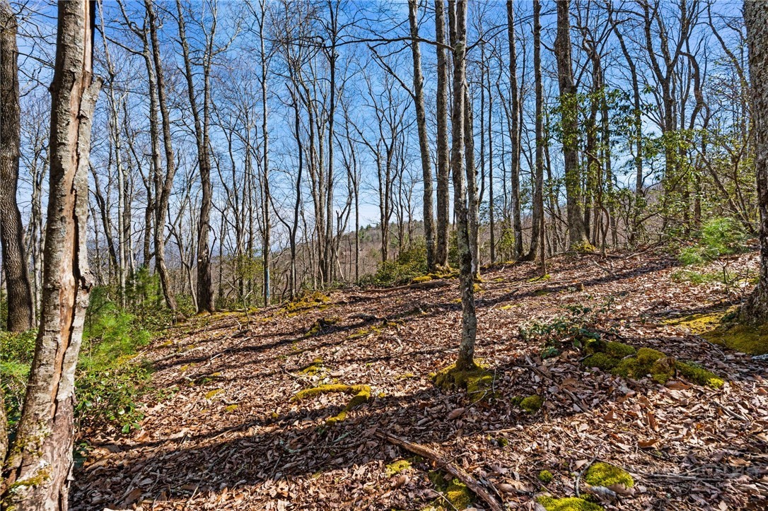 Lot 9 Lot Drive Boone, NC 28607 - Photo 10 of 13 a view of a backyard of the house