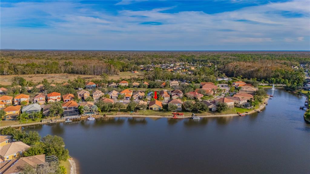 18028 Java Isle Drive Tampa, FL 33647 - Photo 17 of 53 an aerial view of residential houses with outdoor space