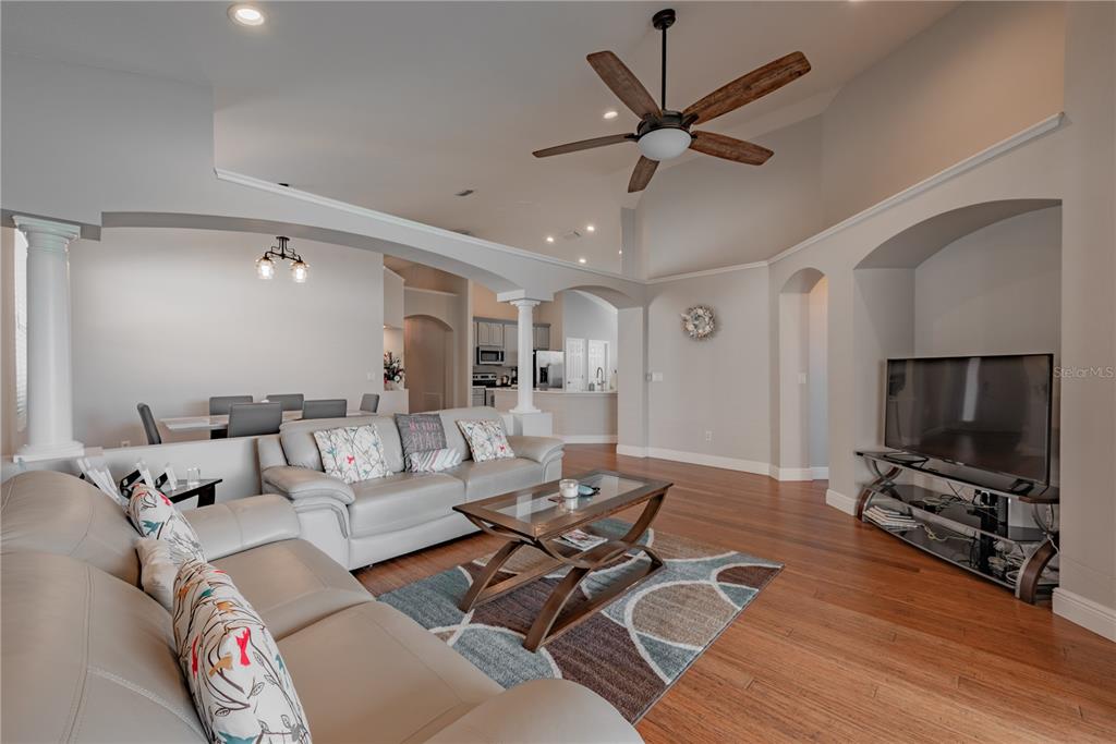 18028 Java Isle Drive Tampa, FL 33647 - Photo 33 of 53 a living room with furniture and a flat screen tv