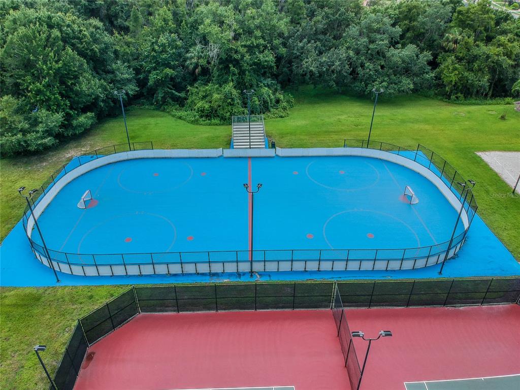 18028 Java Isle Drive Tampa, FL 33647 - Photo 41 of 53 a view of a swimming pool with a yard