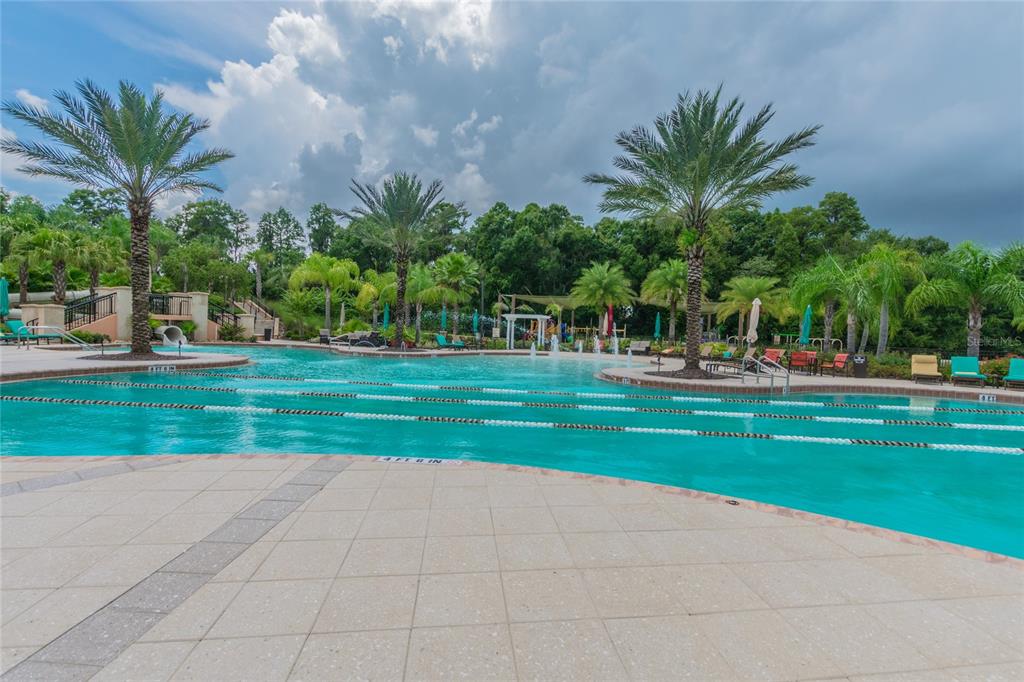 18028 Java Isle Drive Tampa, FL 33647 - Photo 47 of 53 a view of a park with palm trees