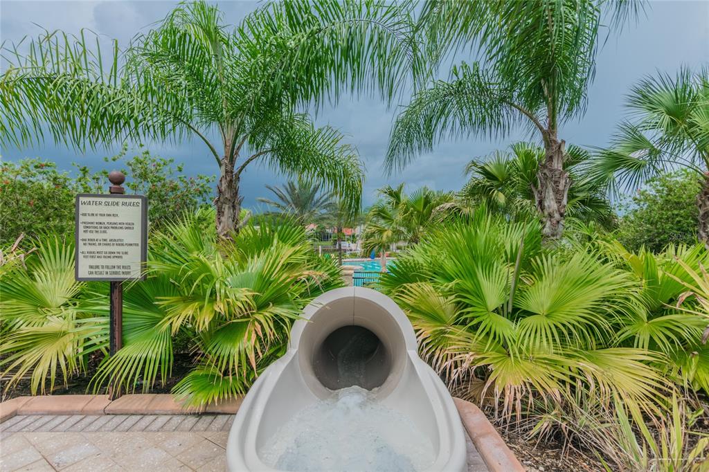 18028 Java Isle Drive Tampa, FL 33647 - Photo 50 of 53 an outdoor view with a garden