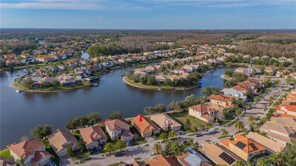 18028 Java Isle Drive Tampa, FL 33647 - Photo 9 of 53 an aerial view of a house with a lake