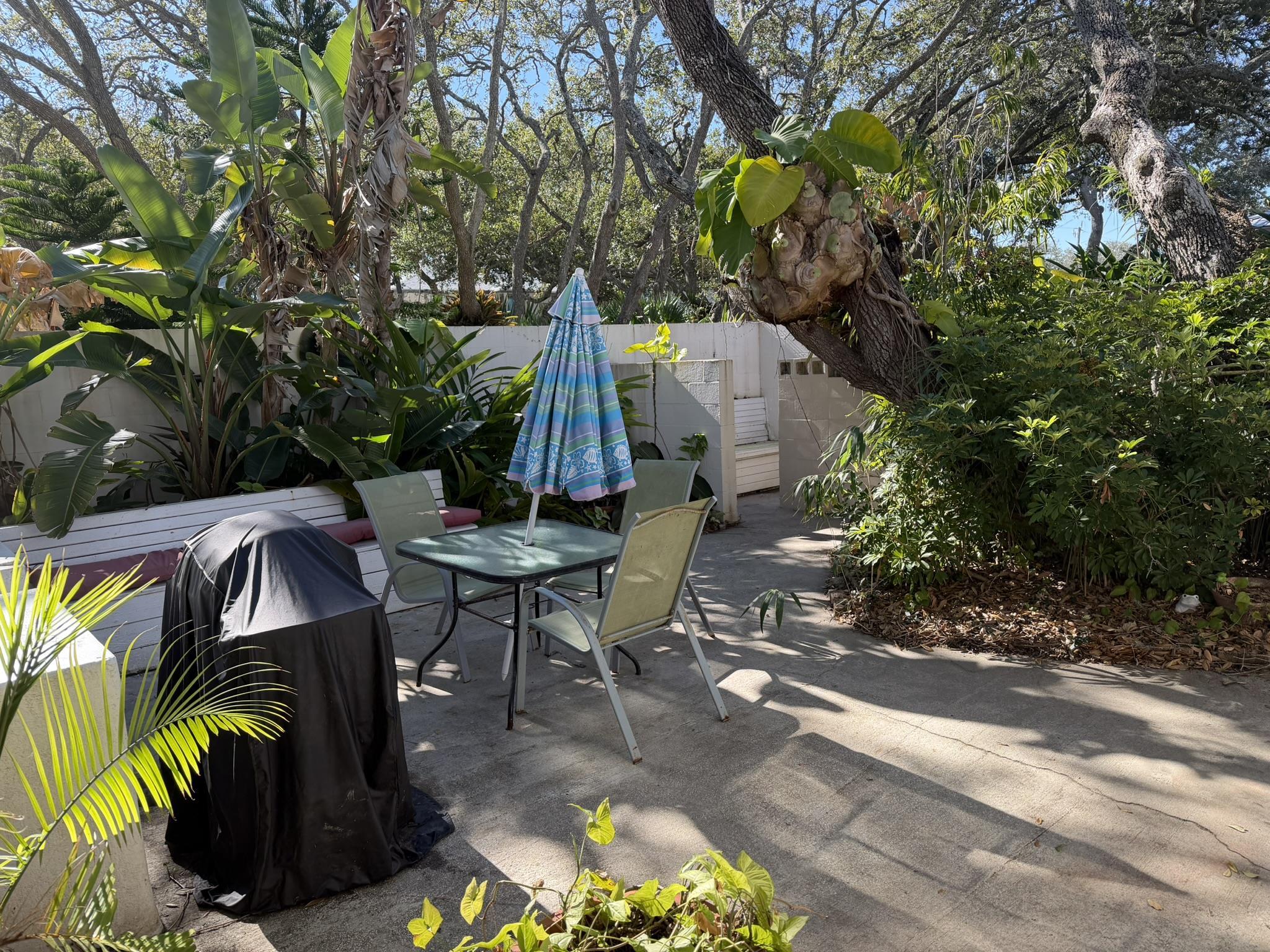 404 Fifteenth Street St. Augustine, FL 32084 - Photo 16 of 23 a view of yard with patio