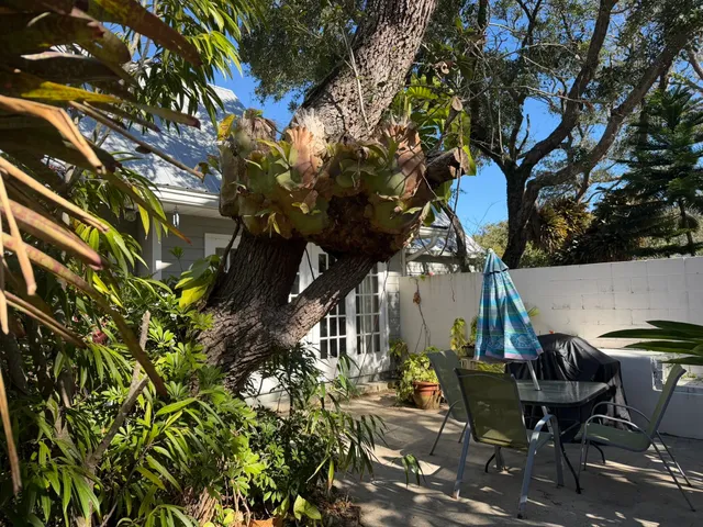 a view of a patio with table and chairs and potted plants with large tree