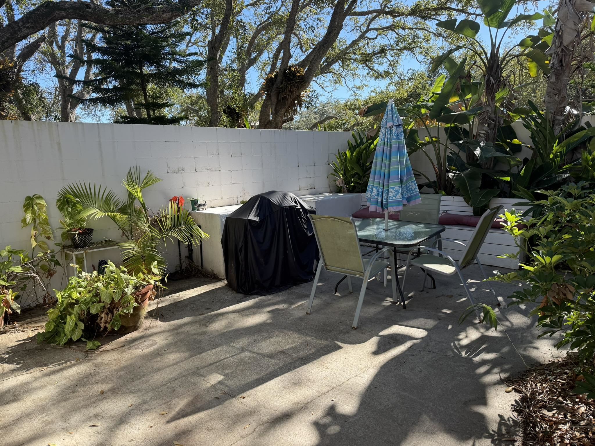404 Fifteenth Street St. Augustine, FL 32084 - Photo 5 of 23 a view of a chairs and tables in the backyard of a house