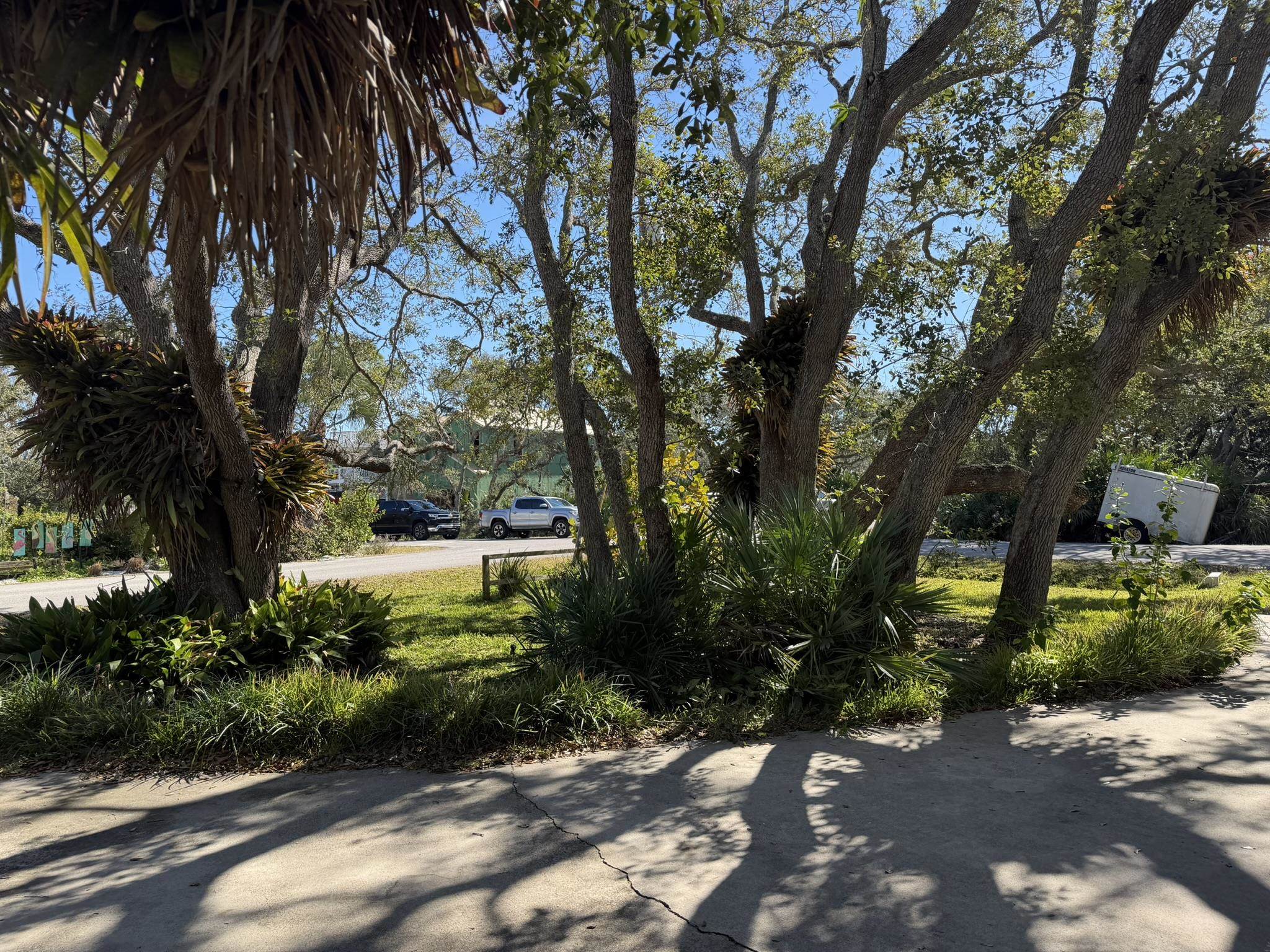 404 Fifteenth Street St. Augustine, FL 32084 - Photo 7 of 23 a view of a park with large trees