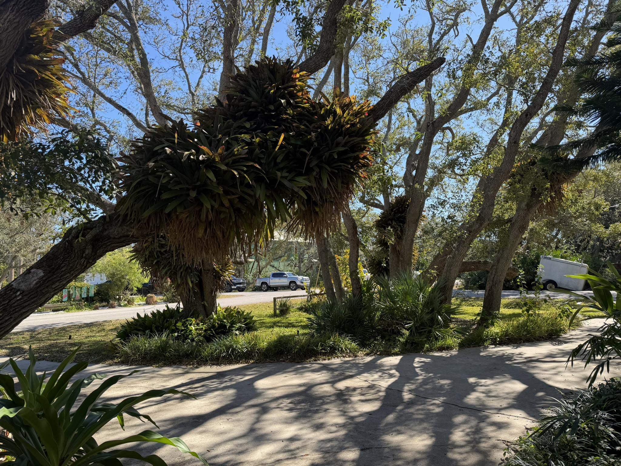 404 Fifteenth Street St. Augustine, FL 32084 - Photo 8 of 23 a view of a street with a tree