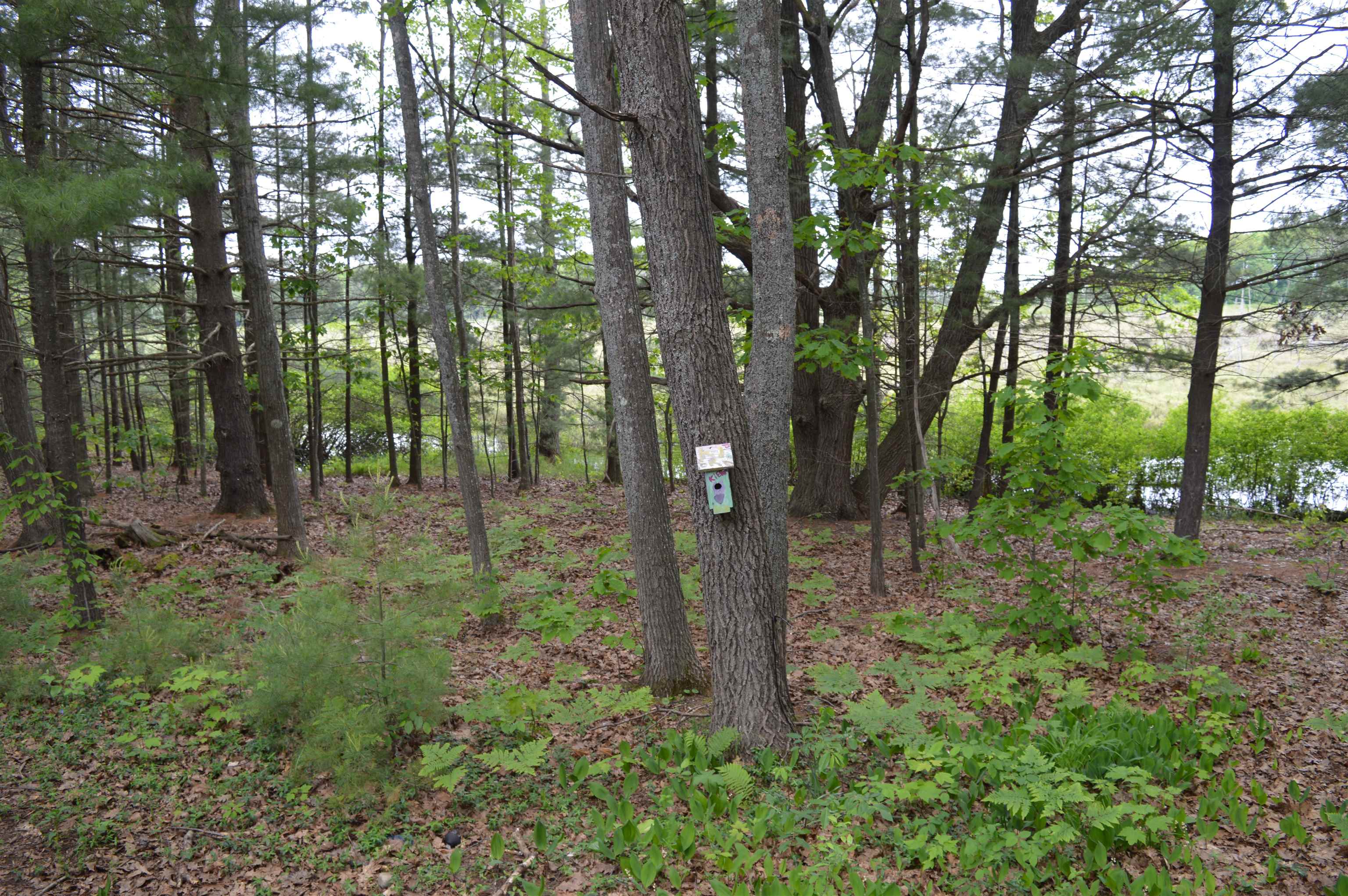 4921 Deerfield Road Kalkaska, MI 49646 - Photo 25 of 56 1900839-24.JPG