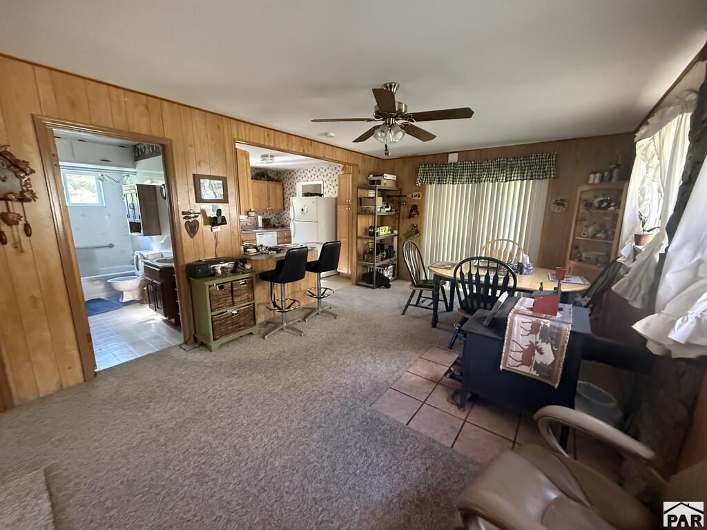 349 Columbine Circle Rye, CO 81069 - Photo 9 of 29 Gallery Image 9