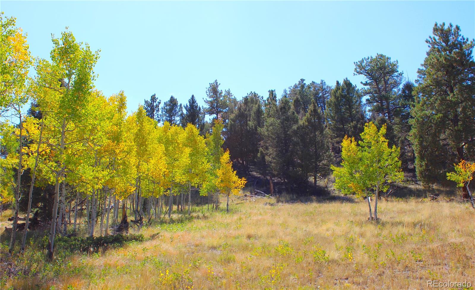 362 Sombrero Road Hartsel, CO 80449 - Photo 1 of 27