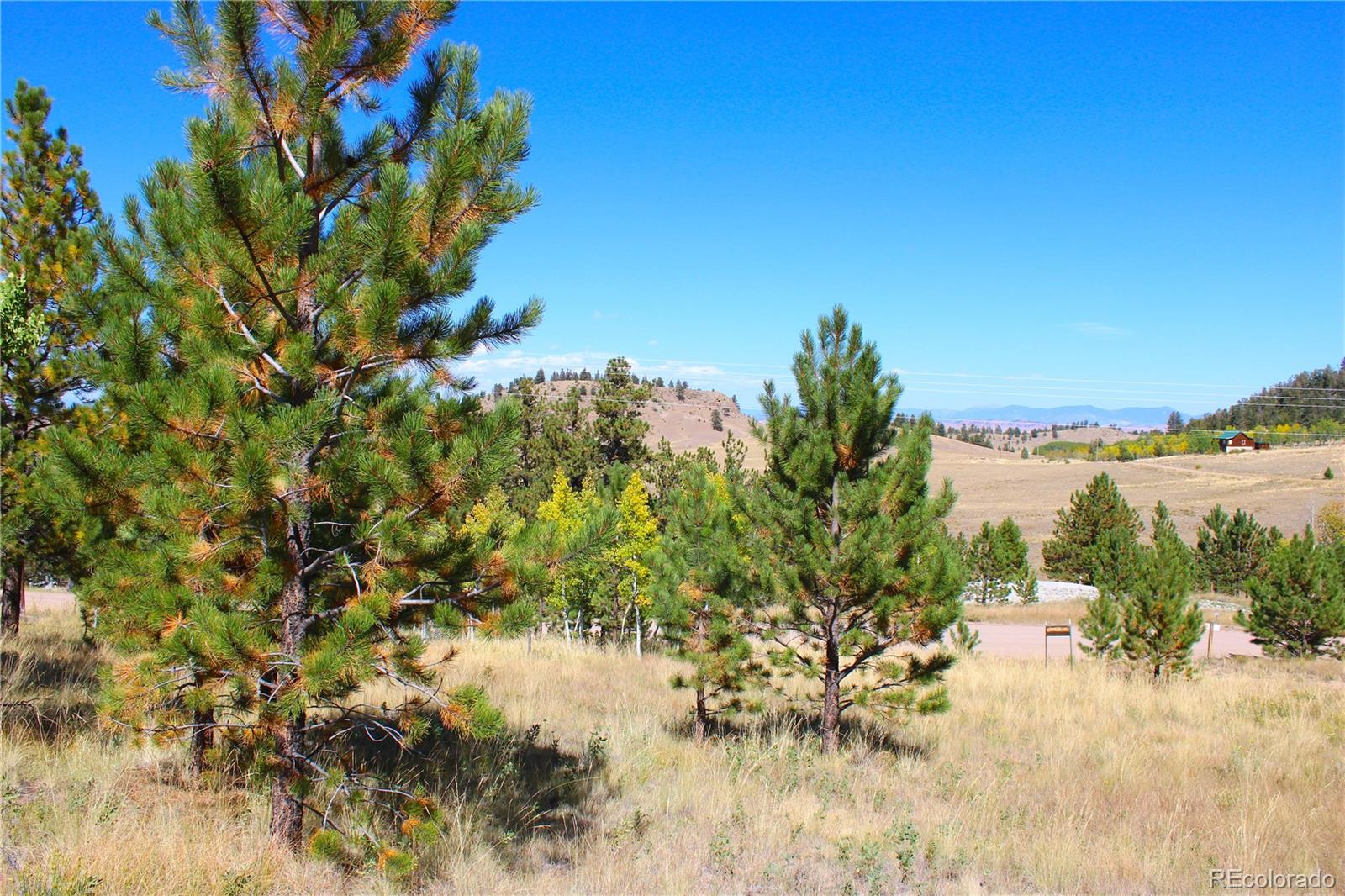 362 Sombrero Road Hartsel, CO 80449 - Photo 11 of 27