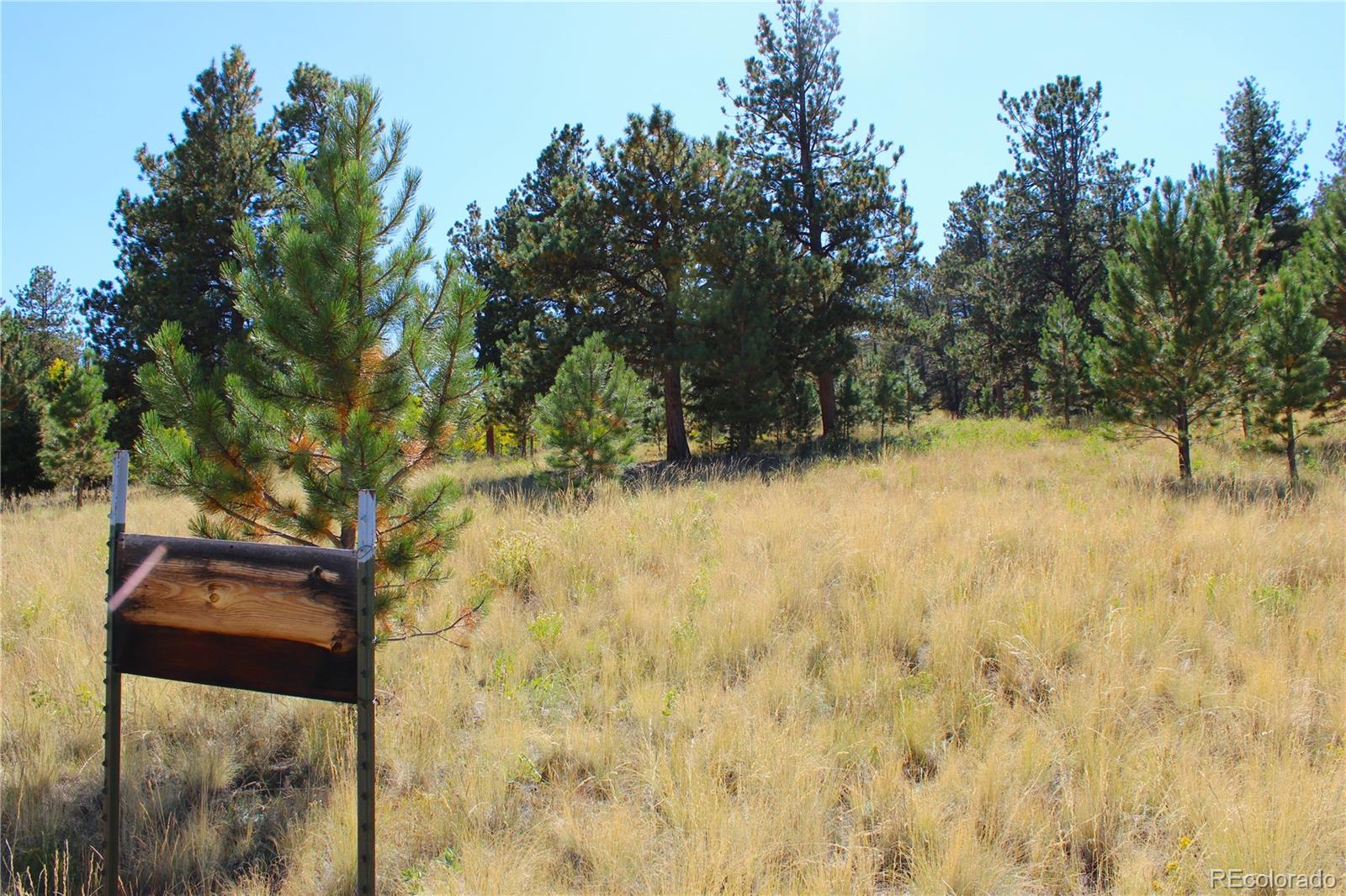 362 Sombrero Road Hartsel, CO 80449 - Photo 13 of 27