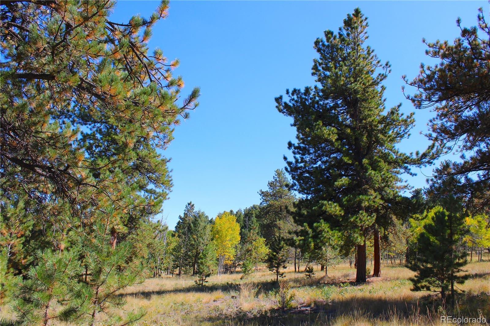 362 Sombrero Road Hartsel, CO 80449 - Photo 14 of 27