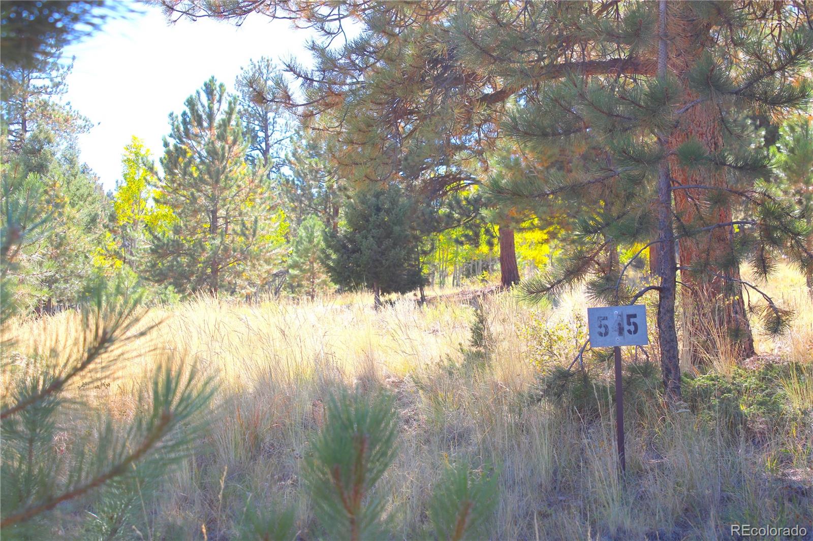 362 Sombrero Road Hartsel, CO 80449 - Photo 17 of 27