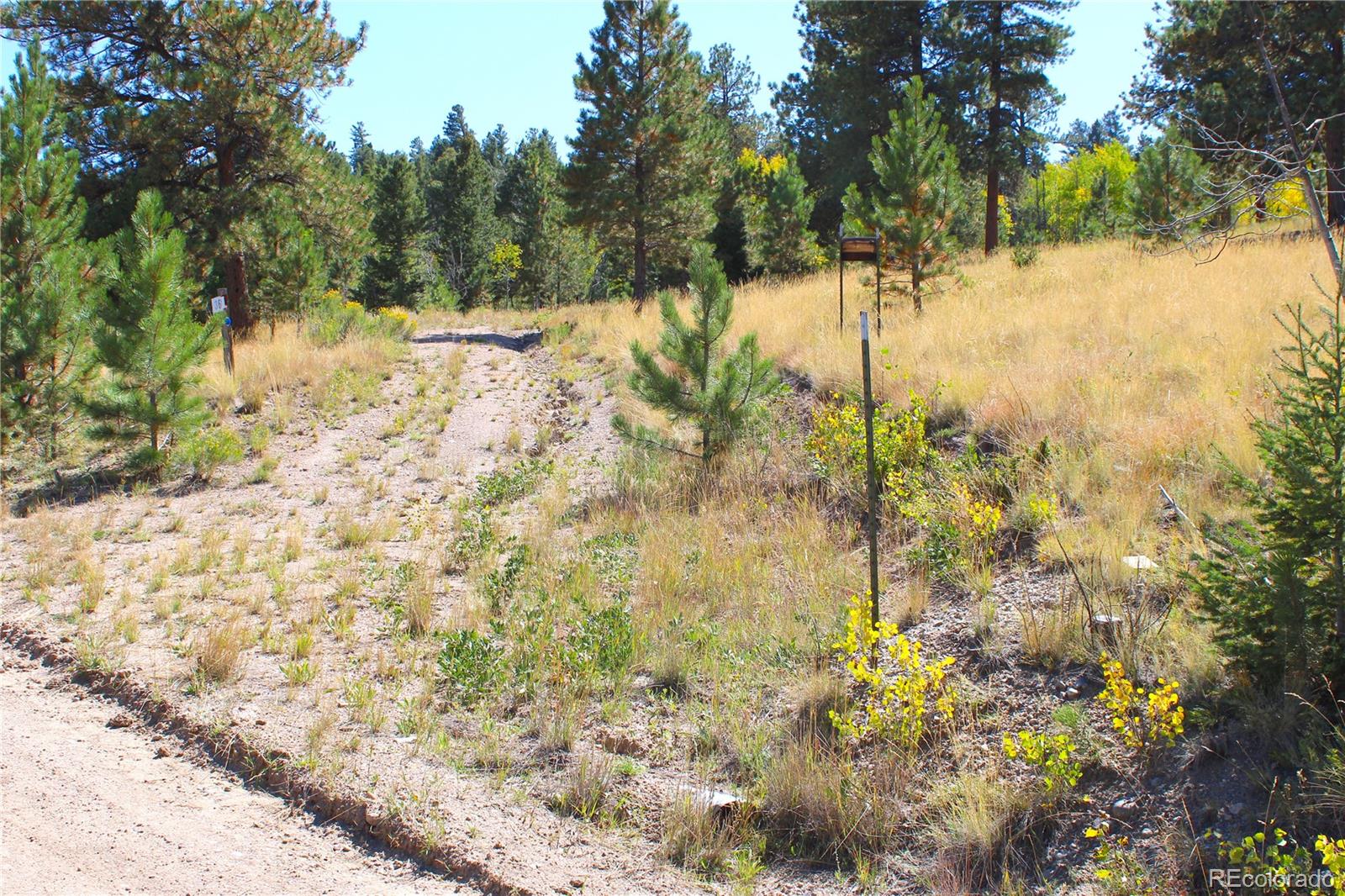 362 Sombrero Road Hartsel, CO 80449 - Photo 18 of 27
