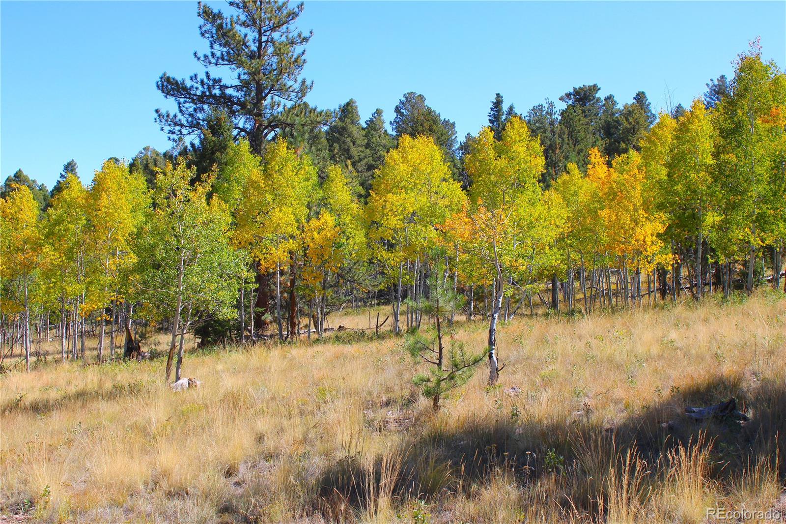362 Sombrero Road Hartsel, CO 80449 - Photo 19 of 27