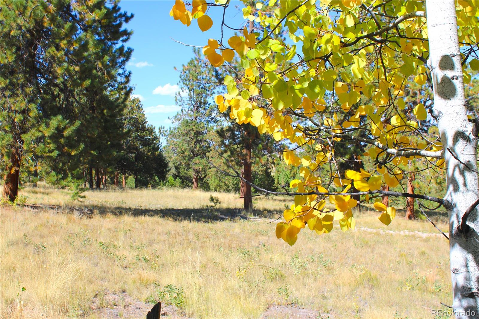 362 Sombrero Road Hartsel, CO 80449 - Photo 20 of 27